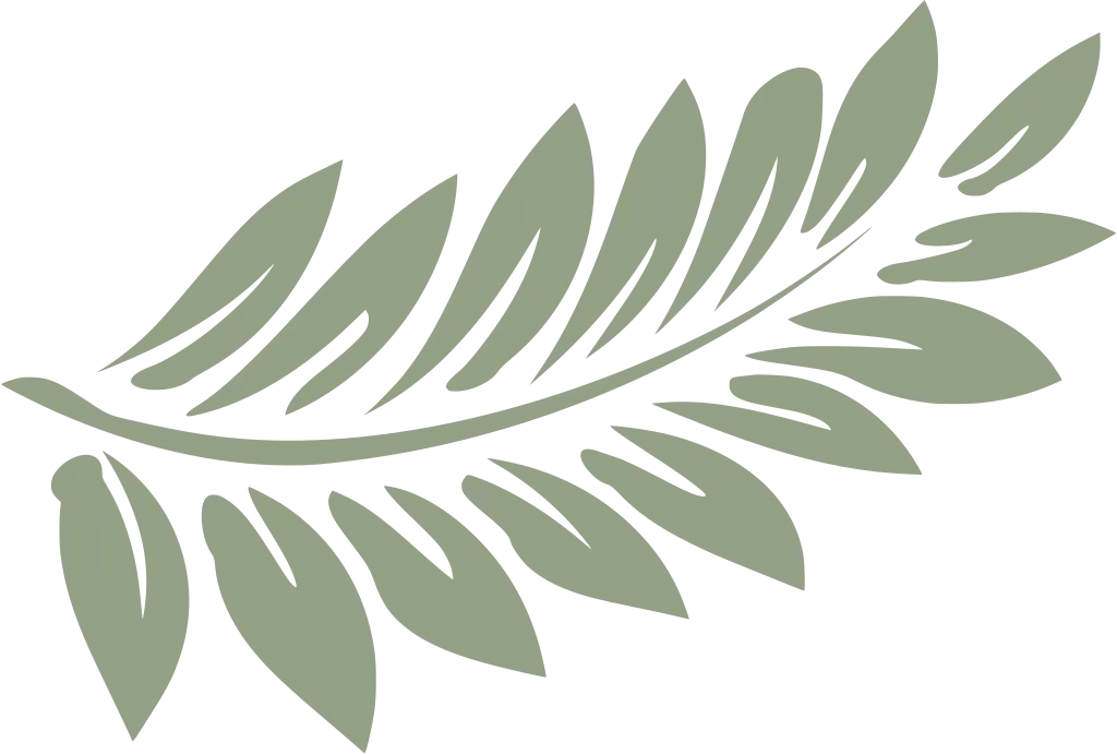 hoja helecho green